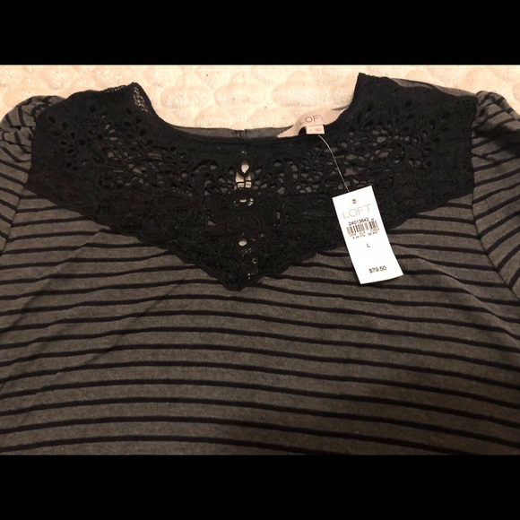 Loft Cotton Dress - Picture 3 of 3